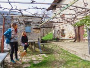 Festa di fiori sui sentieri per il Monte Ubione-6 marzo 2026-FOTOGALLERY